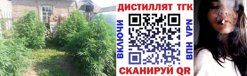Дистиллят ТГК концентрат Павловский Посад